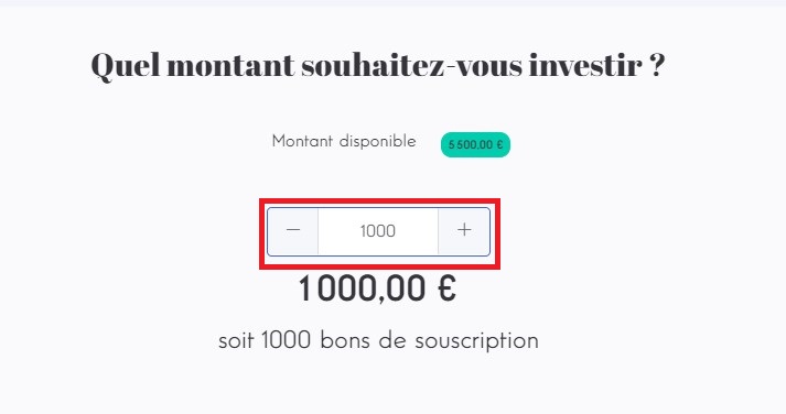 investment amount